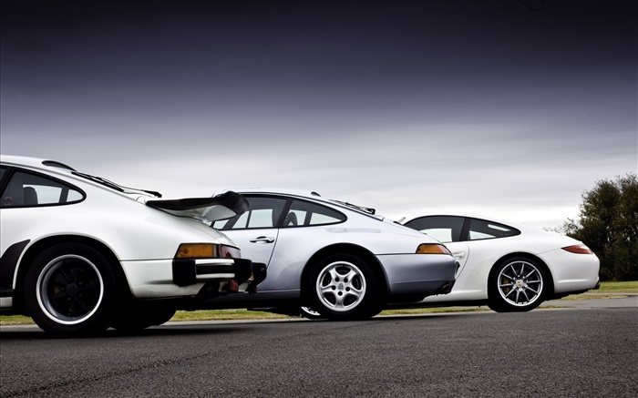 Porsche cars rear view Wallpapers Pictures Photos Images