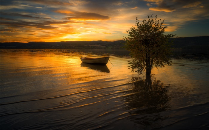 Sunset, clouds, river, tree, boat Wallpapers Pictures Photos Images