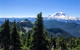 USA, Alaska, forest, mountains, blue sky HD wallpaper
