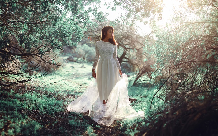 White dress girl in the forest, sun, glare Wallpapers Pictures Photos Images