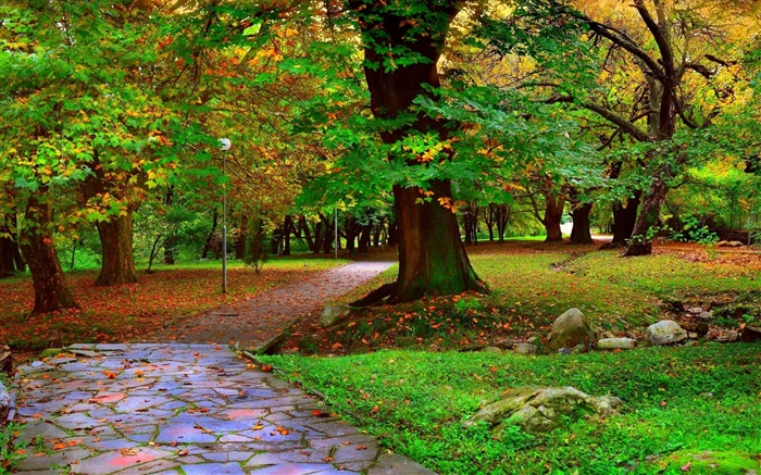 Autumn park, trees, walkway, leaves Wallpapers Pictures Photos Images