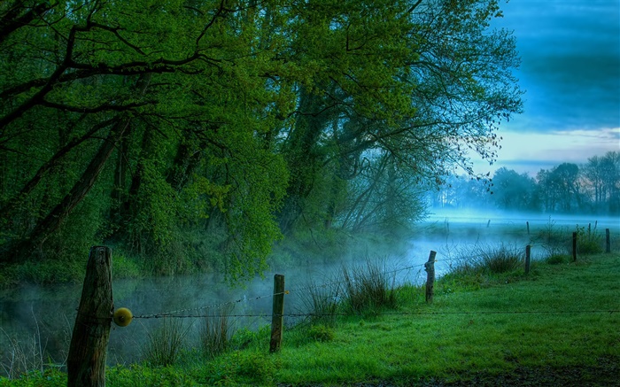 Morning nature scenery, meadow, grass, river, fog Wallpapers Pictures Photos Images