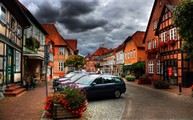 Town, cars, houses, flowers, clouds, dusk