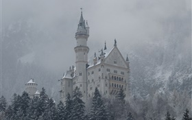 Neuschwanstein, castle, mountains, trees, snow HD wallpaper