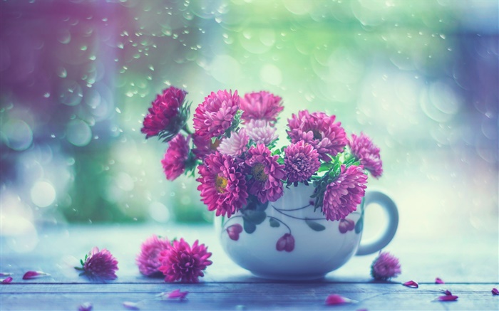 Pink flowers, cup, rain Wallpapers Pictures Photos Images