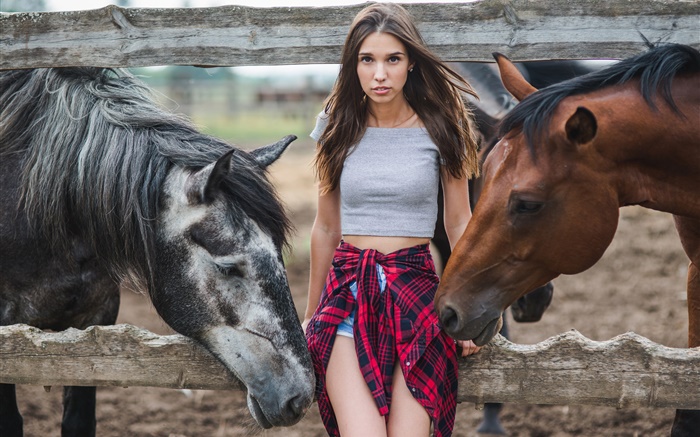 Girl and two horses Wallpapers Pictures Photos Images