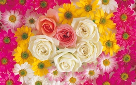 Many flowers, rose, chamomile HD wallpaper