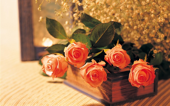 Orange roses and book Wallpapers Pictures Photos Images
