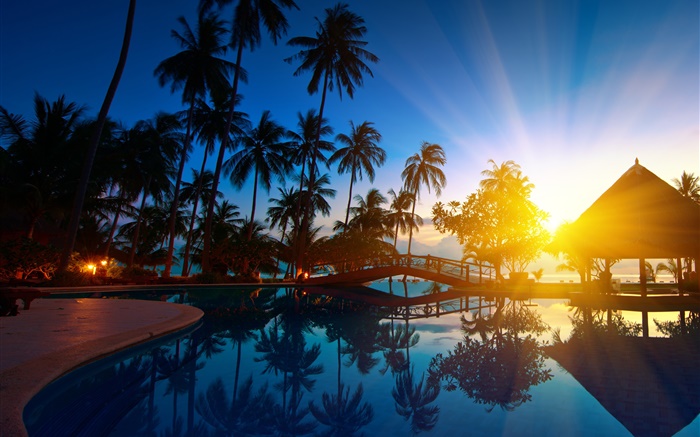 Palm trees, house, sunrise, sun rays, sea water, Thailand Wallpapers Pictures Photos Images