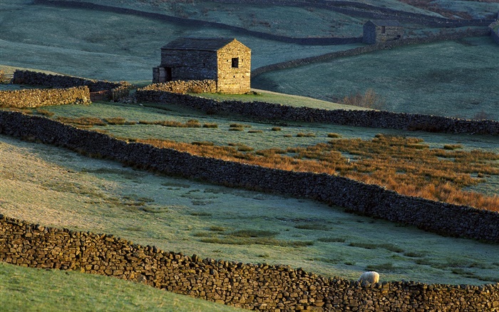 Stone house, fence, grass, sheep Wallpapers Pictures Photos Images