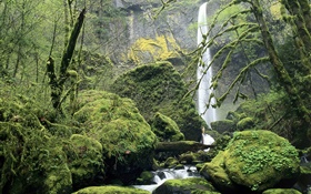 Waterfall, moss, stones, trees
