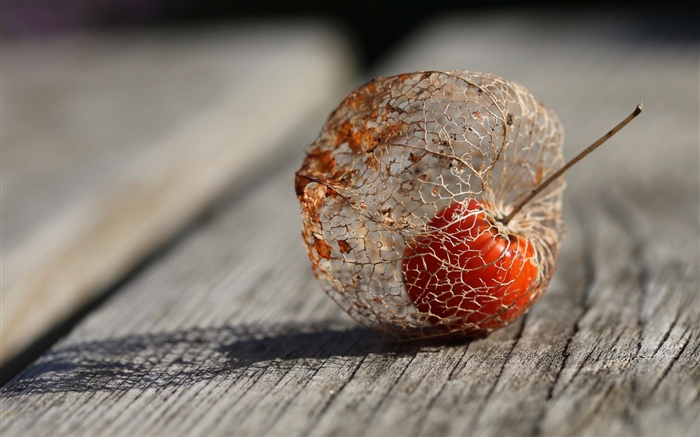 Plants fruit, physalis, wood board Wallpapers Pictures Photos Images