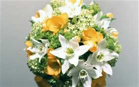 White daffodils, bouquet HD wallpaper