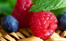 Blueberry and raspberry HD wallpaper