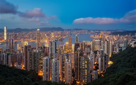 Hong Kong, night, skyscrapers, lights HD wallpaper