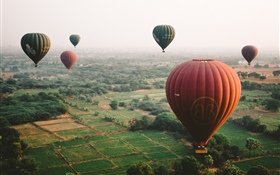 Hot air balloons, sky, fields HD wallpaper