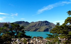 Argentina, Patagonia, lake, mountains, trees HD wallpaper