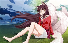 Anime girl, fox HD wallpaper