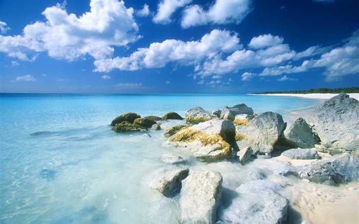 Bahamas, beach, sea, stones Wallpapers Pictures Photos Images
