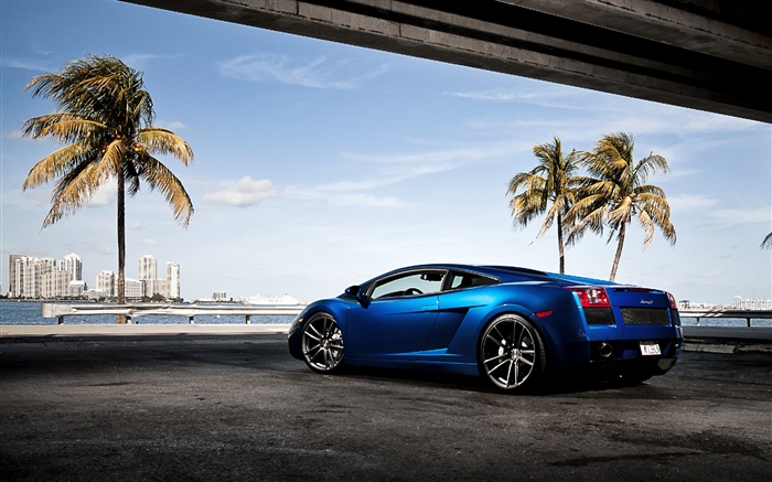 Blue Lamborghini supercar, palm trees Wallpapers Pictures Photos Images