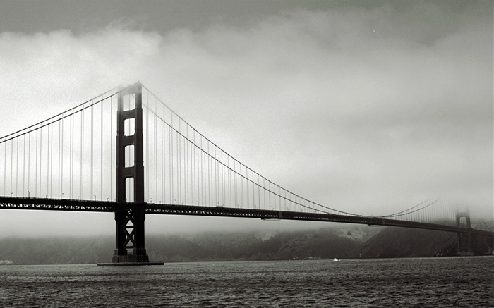 Bridge, river, black and white picture Wallpapers Pictures Photos Images