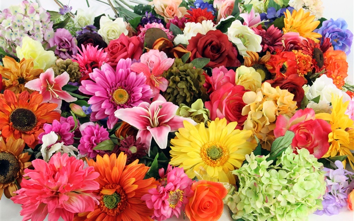 Colorful different kinds flowers Wallpapers Pictures Photos Images
