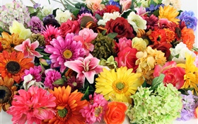 Colorful different kinds flowers