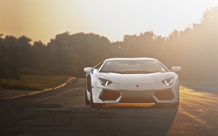 Lamborghini white supercar front view, sunlight Wallpapers Pictures Photos Images