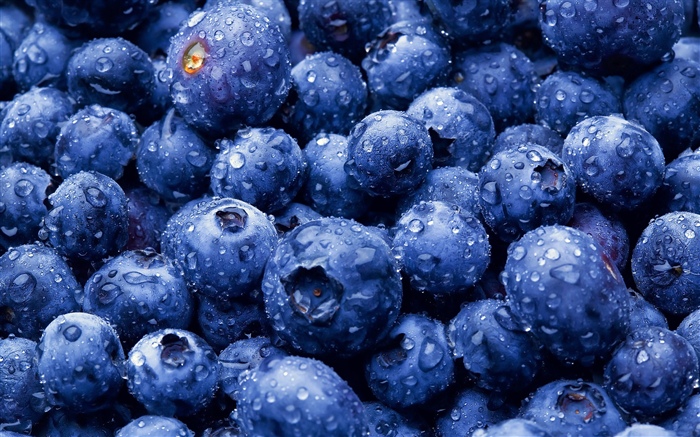 Many blueberries, water droplets Wallpapers Pictures Photos Images