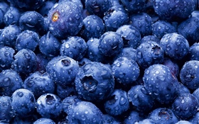 Many blueberries, water droplets HD wallpaper