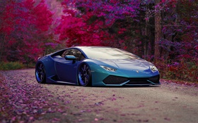 Blue Lamborghini supercar, autumn
