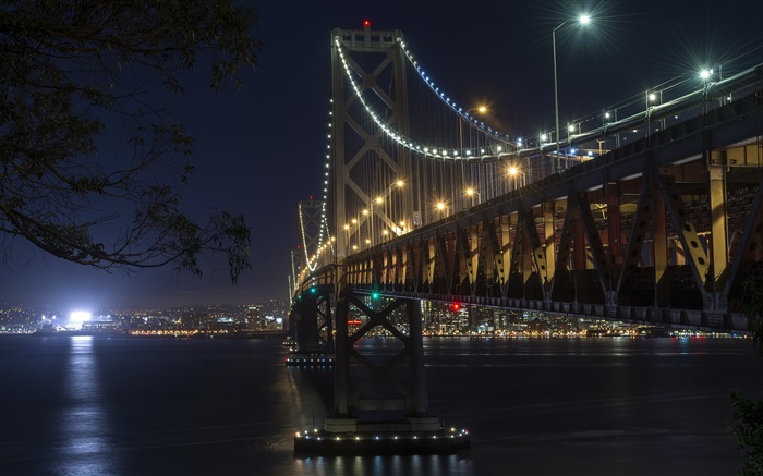 California, San Francisco, bridge, lights, river, night Wallpapers Pictures Photos Images