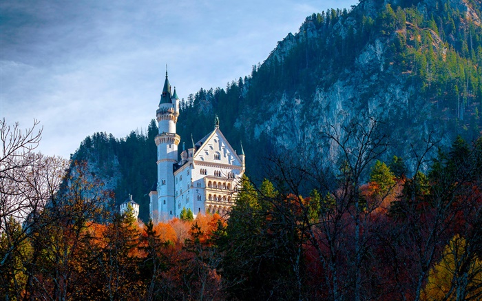 Germany, Bavaria, Neuschwanstein Castle, autumn Wallpapers Pictures Photos Images