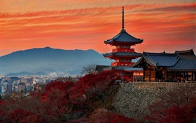Japan, Kyoto, temple, autumn, dusk HD wallpaper