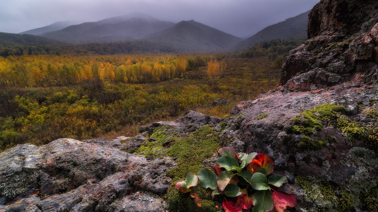 Mountains, fog, stones, forest, autumn 1600x900 wallpaper