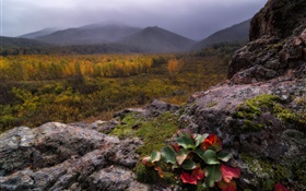 Mountains, fog, stones, forest, autumn