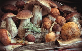 Some mushrooms, food
