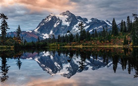 USA, Mount Shuksan, lake, trees, water reflection