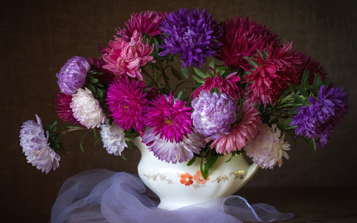 Asters flowers, purple, pink, red, bouquet Wallpapers Pictures Photos Images