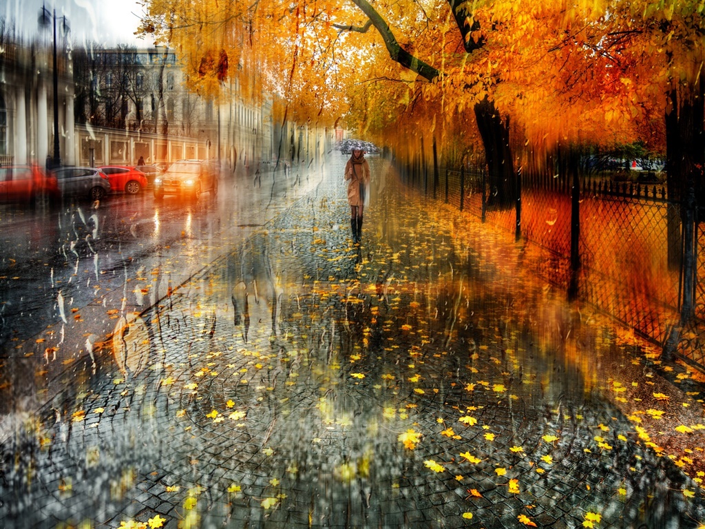 Autumn, city, rain, trees, girl, road, cars 1024x768 wallpaper