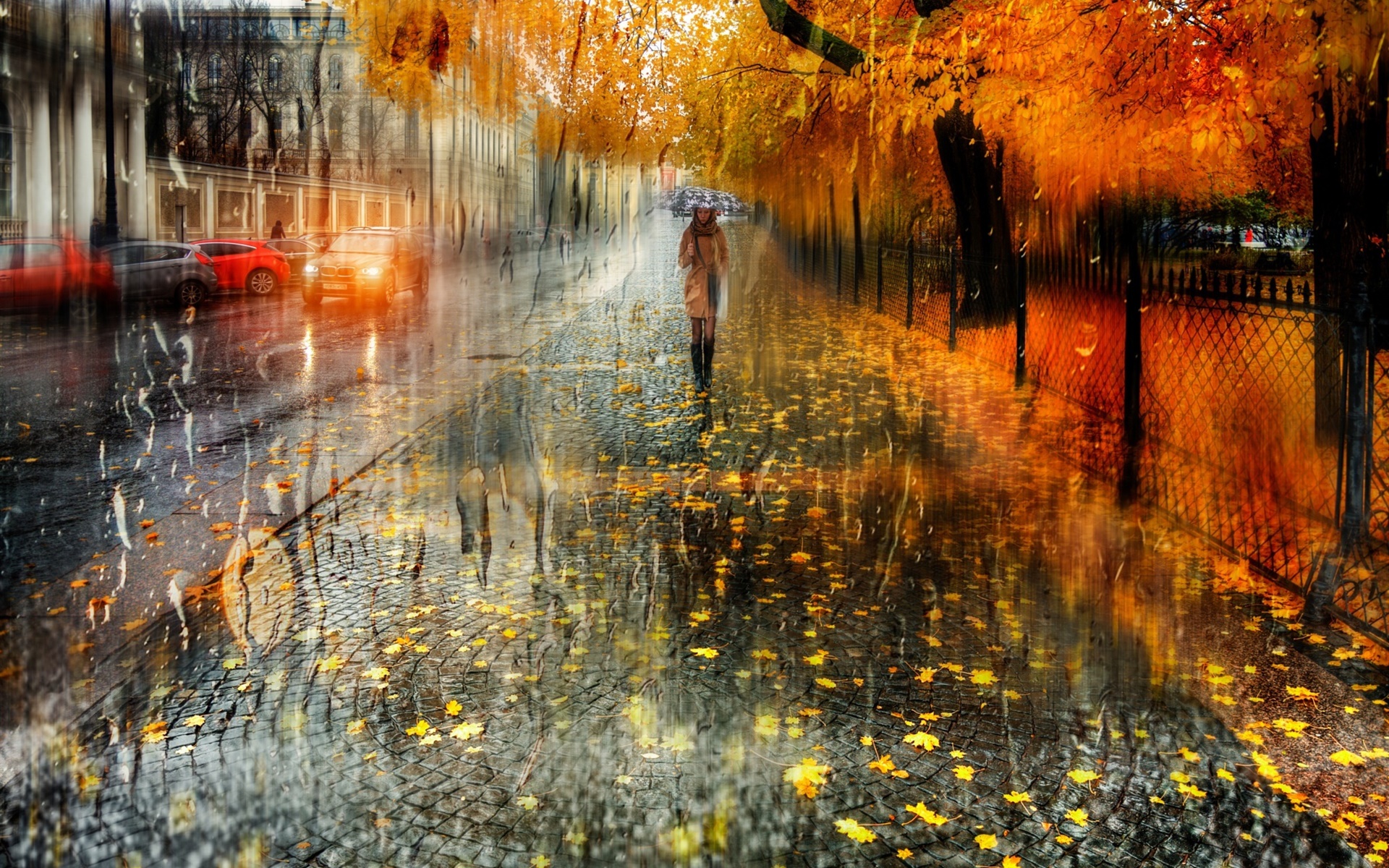 Autumn, city, rain, trees, girl, road, cars 1920x1200 wallpaper