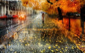 Autumn, city, rain, trees, girl, road, cars