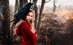 Red dress girl, raven HD wallpaper